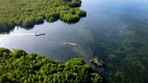 Potret Ojek Perahu yang Jadi Alat Transportasi Utama Suku Bajau