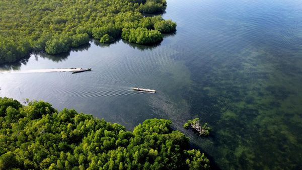 Potret Ojek Perahu yang Jadi Alat Transportasi Utama Suku Bajau