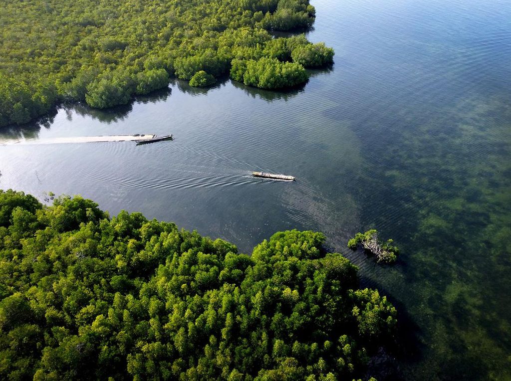 Potret Ojek Perahu yang Jadi Alat Transportasi Utama Suku Bajau Potret Ojek Perahu yang Jadi Alat Transportasi Utama Suku Bajau