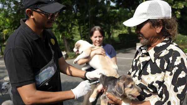 Vaksinasi Rabies Gencar Dilakukan di Denpasar