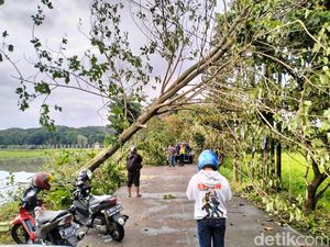 Hujan Disertai Angin Kencang Terjang Bandung, Sejumlah Pohon Tumbang Hujan Disertai Angin Kencang Terjang Bandung, Sejumlah Pohon Tumbang