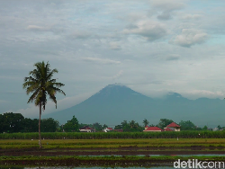 Gunung Semeru Luncurkan Guguran Lava Pijar Sejauh 2 KM Disertai 21 Letusan