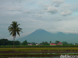 Gunung Semeru Luncurkan Guguran Lava Pijar Sejauh 2 KM Disertai 21 Letusan Gunung Semeru Luncurkan Guguran Lava Pijar Sejauh 2 KM Disertai 21 Letusan