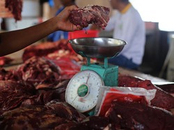Luhut Sebut Maret 2024 Harga Daging Sapi Turun di Bawah Rp 100 Ribu/Kg
