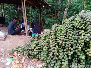 Cuan Jutaan dari Cangkaleng Dadakan di Jalur Tasikmalaya-Garut