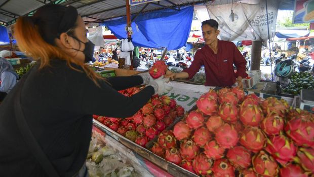 Pedagang memilih buah naga merah untuk pembeli, di Pasar Raya, Padang, Sumatera Barat, Jumat (24/3/2023). Pedagang mengaku permintaan buah naga yang dipasok dari petani Sumatera Barat itu meningkat pada awal bulan Ramadhan karena banyak dicari untuk kebutuhan berbuka puasa dengan harga Rp25 ribu per kilogram. ANTARA FOTO/Iggoy el Fitra/hp.