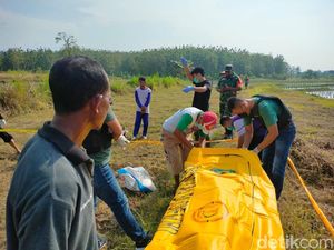 Akhir Dendam Petani Tuban Bunuh Tetangga yang Bawa Kabur Istri Akhir Dendam Petani Tuban Bunuh Tetangga yang Bawa Kabur Istri
