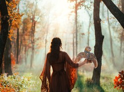 Ratu Balqis Masuk Islam dan Kisah di Balik Usaha Nabi Sulaiman AS