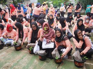 Relawan Ganjar Gelar Aksi Tanam Cabai Bareng Emak-emak di Cilangkap