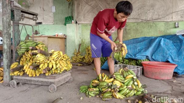 Potret Geliat Sentra Pisang di Pasar Jatibarang Indramayu