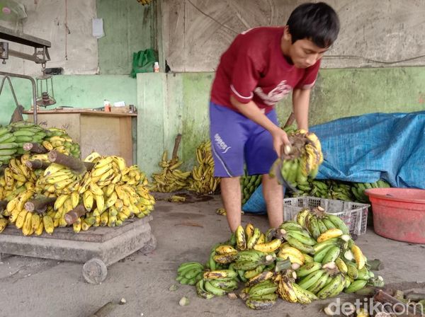 Potret Geliat Sentra Pisang di Pasar Jatibarang Indramayu