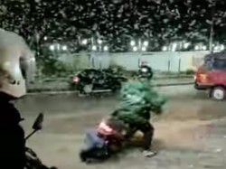 Mengerikan! Teror Jutaan Laron Sampai Bikin Pemotor Terjungkal