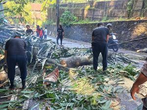 Astungkara, Angka Bencana di Bali Turun Jadi 109 Kasus per Maret 2023