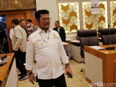 Raker dengan DPR, Mentan Klaim Produksi Beras Aman