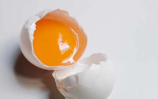 Ilustrasi kuning telur.