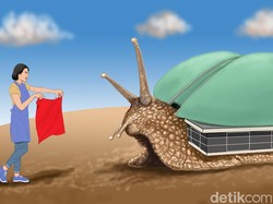 Penyiksaan di Rumah Majikan dan Macetnya RUU PPRT