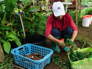 Ngabuburit Produktif Ala Emak-emak Petani Twelves Organic di Mojokerto