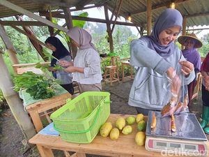 Jatuh Bangun 2 Mahasiswi Rintis Twelves Organic hingga Beromzet Puluhan Juta Jatuh Bangun 2 Mahasiswi Rintis Twelves Organic hingga Beromzet Puluhan Juta