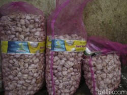 Ombudsman Cium Aroma Tak Sedap Impor Bawang Putih, Dirjen Kementan Buka Suara