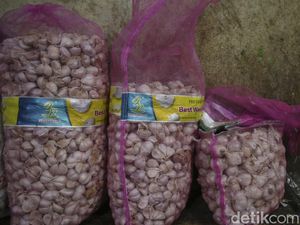 Bawang Putih Melimpah tapi Kok Harganya Mahal? Ini Jawabannya Bawang Putih Melimpah tapi Kok Harganya Mahal? Ini Jawabannya