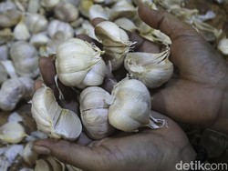 Importir Bawang Putih Disunat Kuotanya Gegara Ini