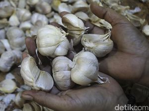 Jurus Luhut agar RI Tak Lagi Impor Bawang Putih Jurus Luhut agar RI Tak Lagi Impor Bawang Putih