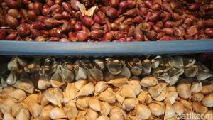 Meski Sudah Impor, Harga Bawang Tetap Melonjak Naik