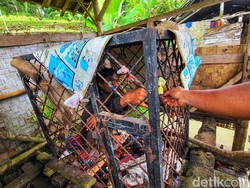 Pilu Pria Sukabumi 5 Bulan Dikurung di Kandang Besi