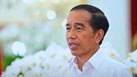 KEK Lido Milik Hary Tanoe Komplit, Jokowi: Masyarakat Tak Perlu ke Luar Negeri