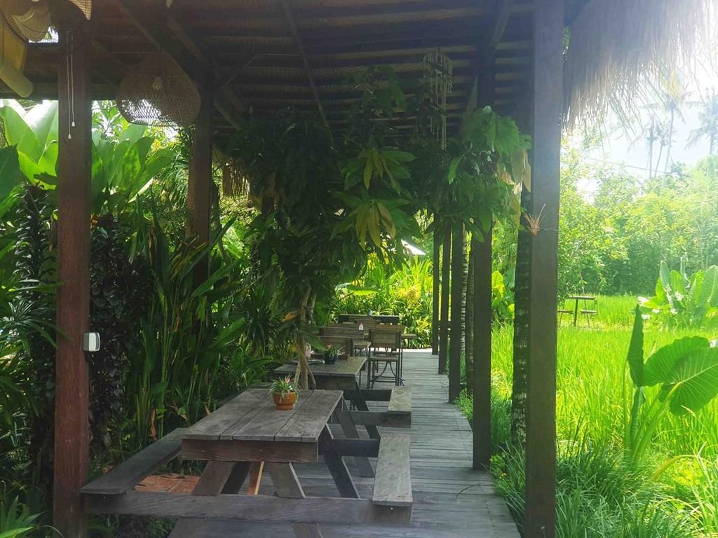RUMKA Bali, Kafe Hidden Gem Pinggir Sawah di Tengah Kota Denpasar RUMKA Bali, Kafe Hidden Gem Pinggir Sawah di Tengah Kota Denpasar