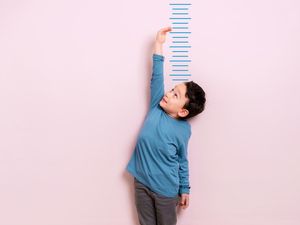 Tabel Perbedaan Pertumbuhan dan Perkembangan, Awas Jangan Sampai Terkecoh