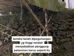 Pernikahan Viral Bikin Deg-degan, Pelaminannya di Pegunungan, Tanah Tak Rata