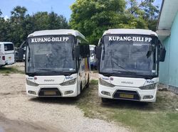 Dishub NTT Klaim Tarif Tiket Bus DAMRI Kupang-Dili Terjangkau