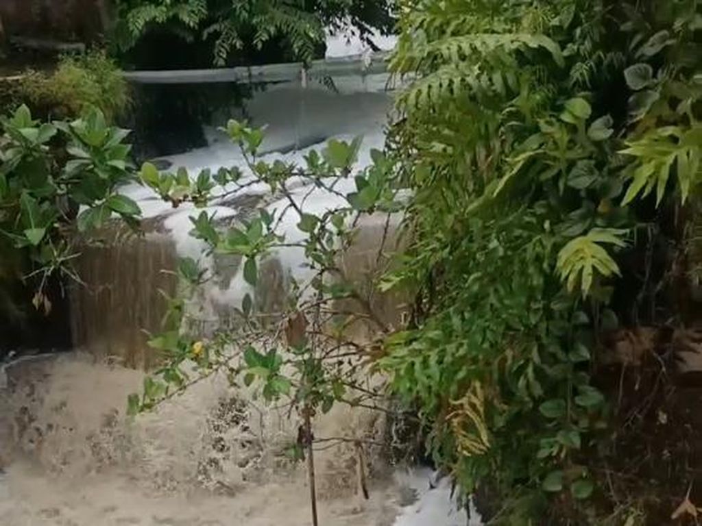 Heboh Busa Selimuti Sungai di Cianjur
