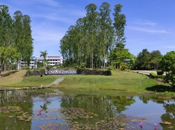 Dear Mahasiswa Unri, Ujian Skripsi Dilarang Beri Kue-Nasi Kotak ke Dosen!