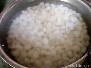 Senangnya Petani Kolang-Kaling Pacitan Raup Berkah Saat Ramadhan Senangnya Petani Kolang-Kaling Pacitan Raup Berkah Saat Ramadhan