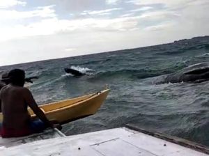 Paus 10 Meter Ditemukan Nelayan Mati Mengapung di Perairan Kangean Sumenep Paus 10 Meter Ditemukan Nelayan Mati Mengapung di Perairan Kangean Sumenep