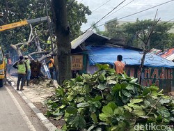 2 Hari Hujan Disertai Angin di Bandung, 26 Pohon Tumbang