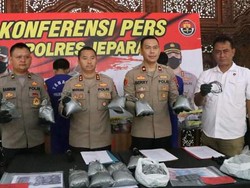 2 Penjual Bahan Petasan di Jepara Ditangkap, 16 Kg Bubuk Mercon Disita