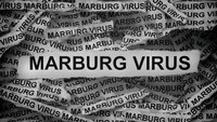COVID-19 Minggir Dulu, Bos WHO Lagi Ketar Ketir Virus Marburg Muncul Lagi