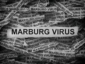 Rwanda Dapat 700 Dosis Vaksin Marburg dari AS, Kelompok Ini Jadi Prioritas Rwanda Dapat 700 Dosis Vaksin Marburg dari AS, Kelompok Ini Jadi Prioritas