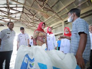 Bupati Klaten Minta Sentra Pertanian Padi Terpadu Jaga Kualitas Beras