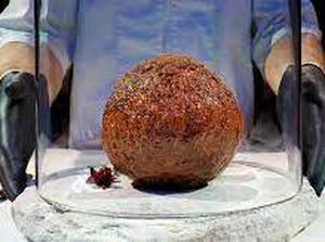 Daging Mamut Purba Buatan Lab Ini Diolah Jadi Bola-bola Daging