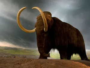 DNA Bakteri Purba Berusia 1,1 Juta Tahun Ditemukan dari Fosil Mamut DNA Bakteri Purba Berusia 1,1 Juta Tahun Ditemukan dari Fosil Mamut