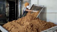 Gula Semut dari Lebak Tembus Pasar Internasional