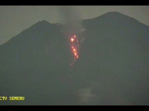 Guguran Lava Pijar Semeru Sejauh 800 Meter Mengarah ke Tenggara-Besuk Kobokan Guguran Lava Pijar Semeru Sejauh 800 Meter Mengarah ke Tenggara-Besuk Kobokan