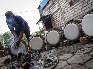 Produksi Rebana Gresik Menurun Imbas Cuaca Buruk