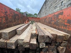 3 Pelaku Illegal Logging di Kaltim Ditangkap, Polisi Sita 2 Truk Kayu Meranti