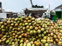 Kementan Mulai Geber Hilirisasi Industri Kelapa