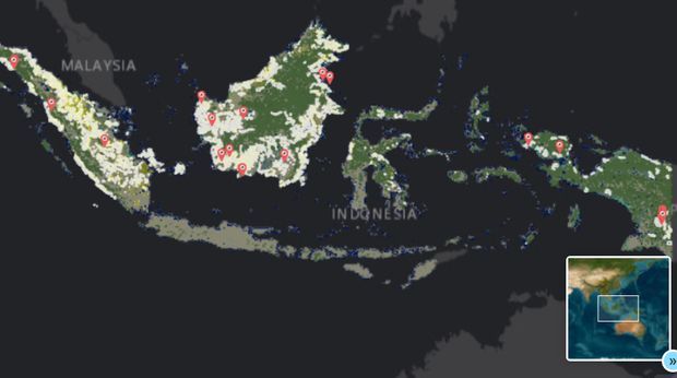 Kecuali Papua, luasan hijau yang makin ciut menunjukkan masifnya pembalakan hutan di Indonesia. © https://map.nusantara-atlas.org/